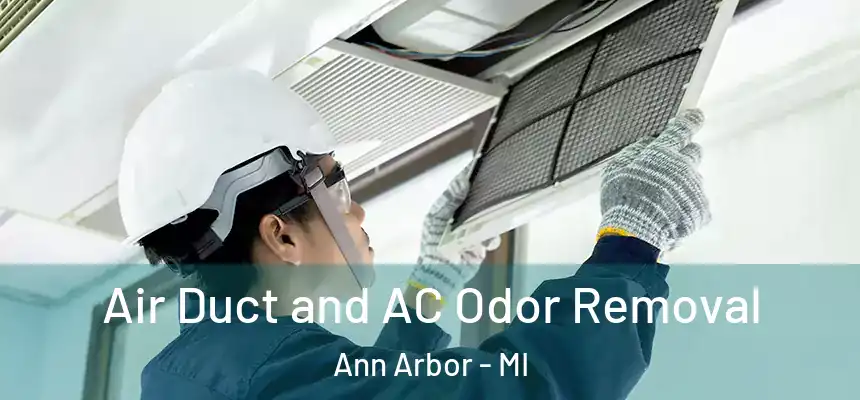  Air Duct and AC Odor Removal Ann Arbor - MI