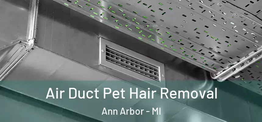  Air Duct Pet Hair Removal Ann Arbor - MI