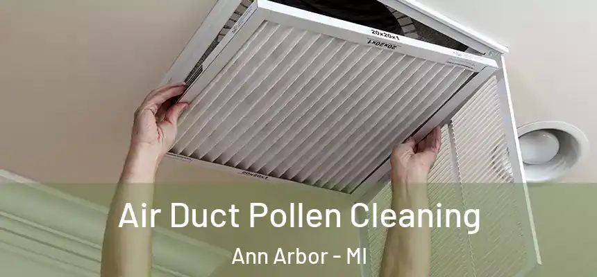 Air Duct Pollen Cleaning Ann Arbor - MI