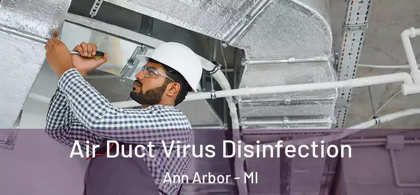  Air Duct Virus Disinfection Ann Arbor - MI