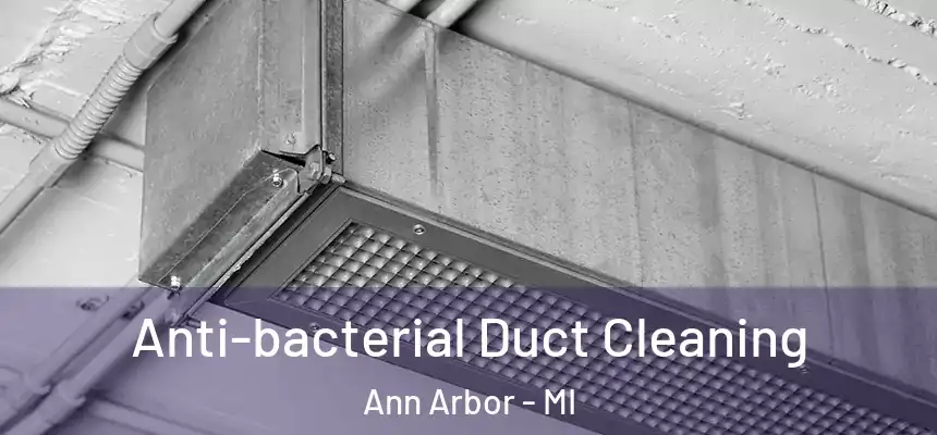  Anti-bacterial Duct Cleaning Ann Arbor - MI