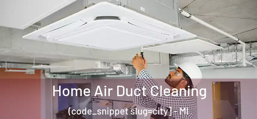 Home Air Duct Cleaning (code_snippet slug=city] - MI