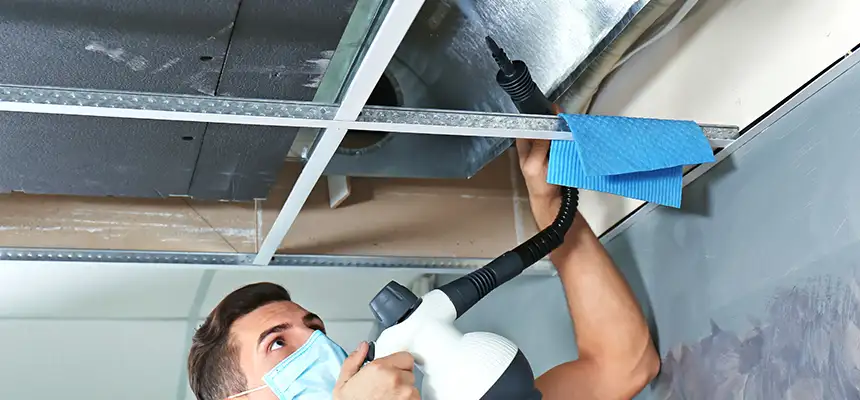 Our Air Duct Rodent Removal Services in Ann Arbor, MI