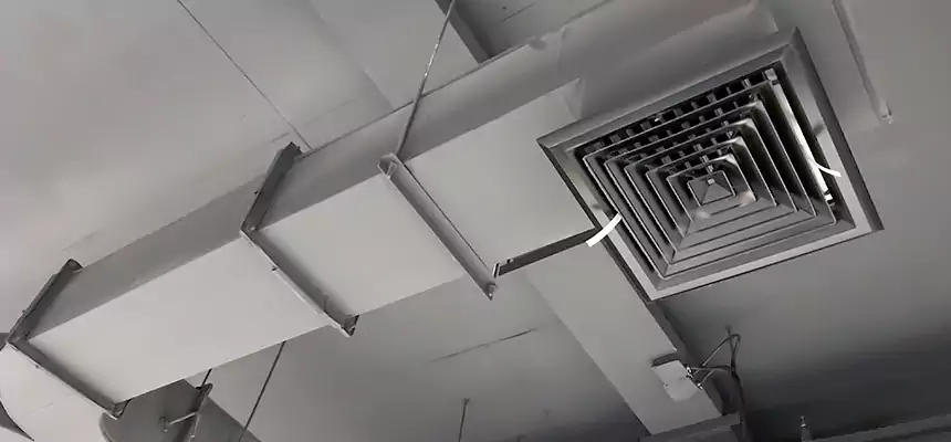 Restorative Allergy Relief Vent Cleaning – Coil, Blower & Housing Detail in Ann Arbor