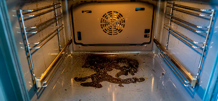 Our Dryer Vent Mold Cleaning Services in Ann Arbor, MI