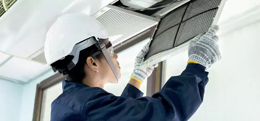 Our Mold & Mildew Removal from Air Ducts Services in Ann Arbor, MI