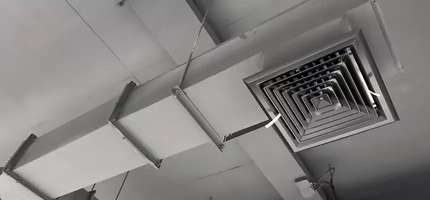 Our Rodent Droppings In Vents Services in Ann Arbor, MI