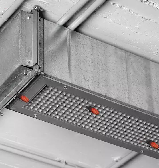 About Air Duct Cockroach Removal in Ann Arbor, MI
