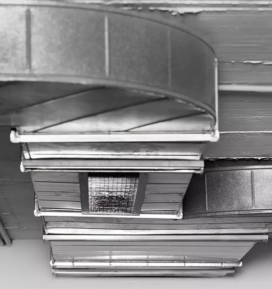 Professional Air Duct Pet Hair Removal in Ann Arbor, MI