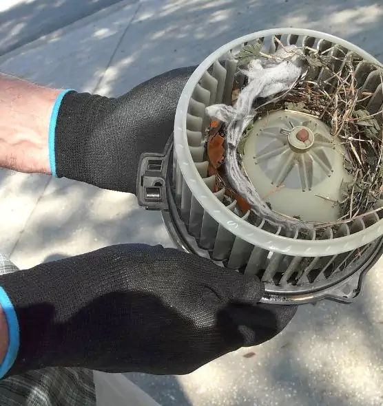 About Air Duct Rat Removal in Ann Arbor, MI