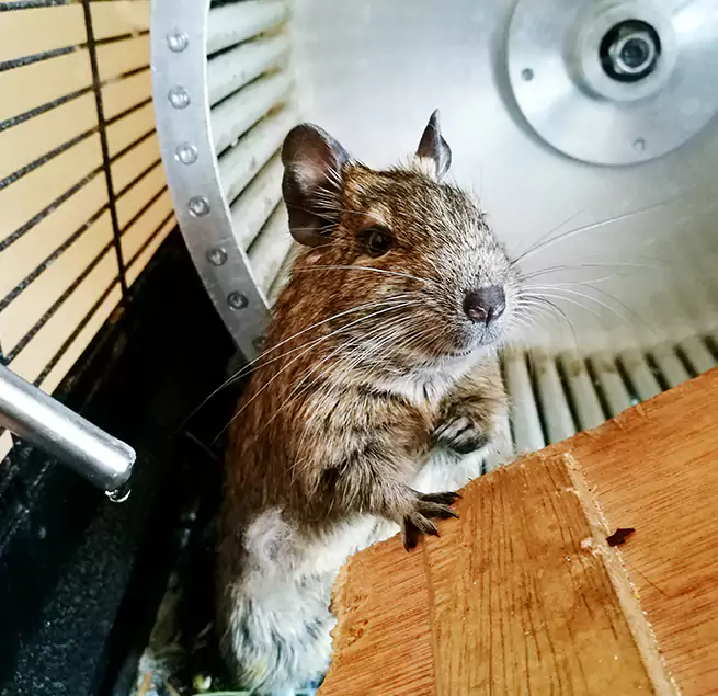 Why Homeowners & Businesses Trust Us Ann Arbor, MI?