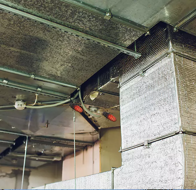 Why Homeowners & Businesses Trust Us Ann Arbor, MI?