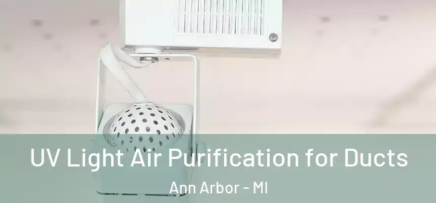  UV Light Air Purification for Ducts Ann Arbor - MI